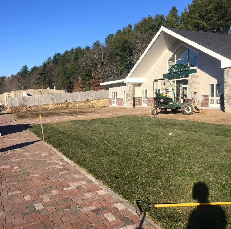 Commercial Sod Lawn Install