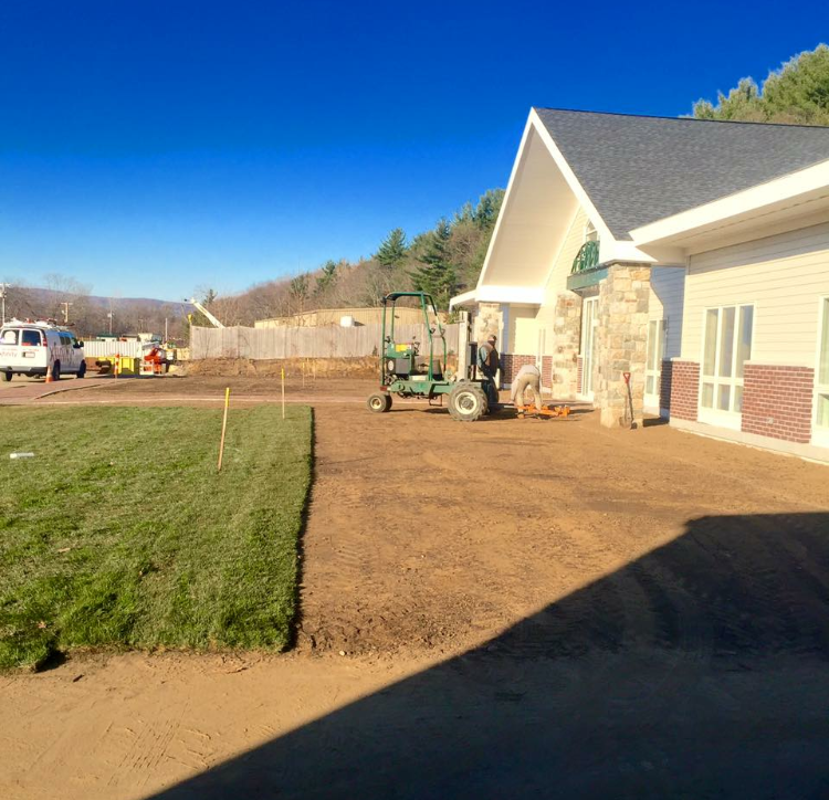 Commercial Sod Lawn Install